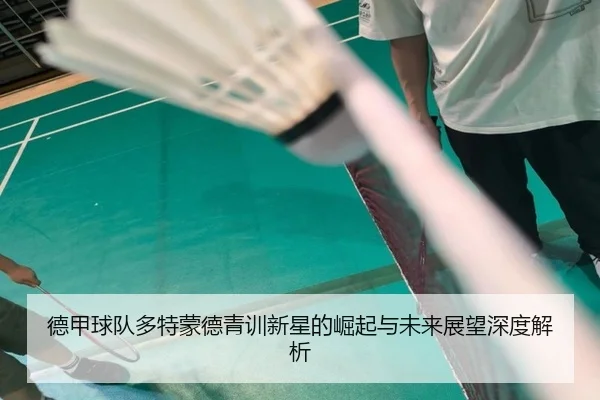 德甲球队多特蒙德青训新星的崛起与未来展望深度解析